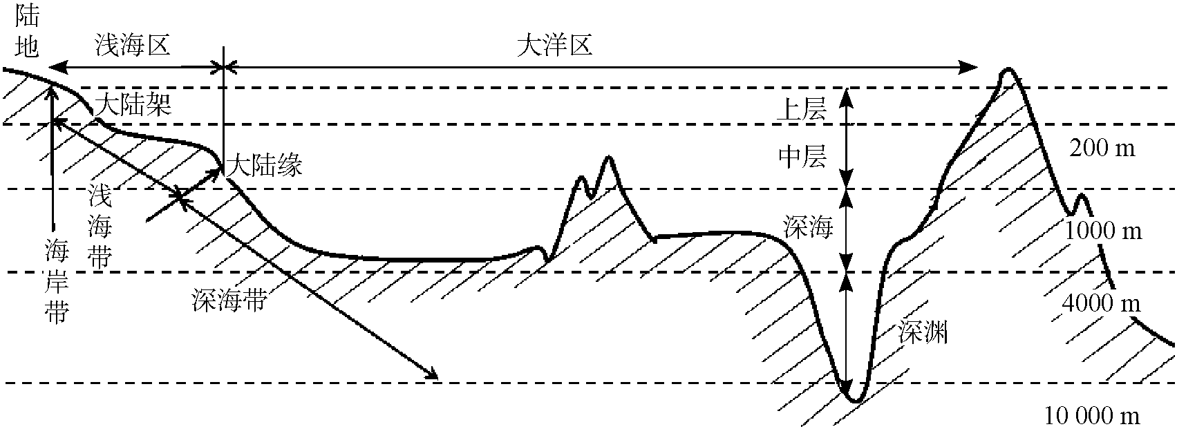 一、海洋環(huán)境